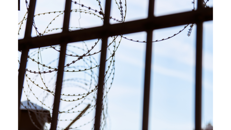 asylum seekers